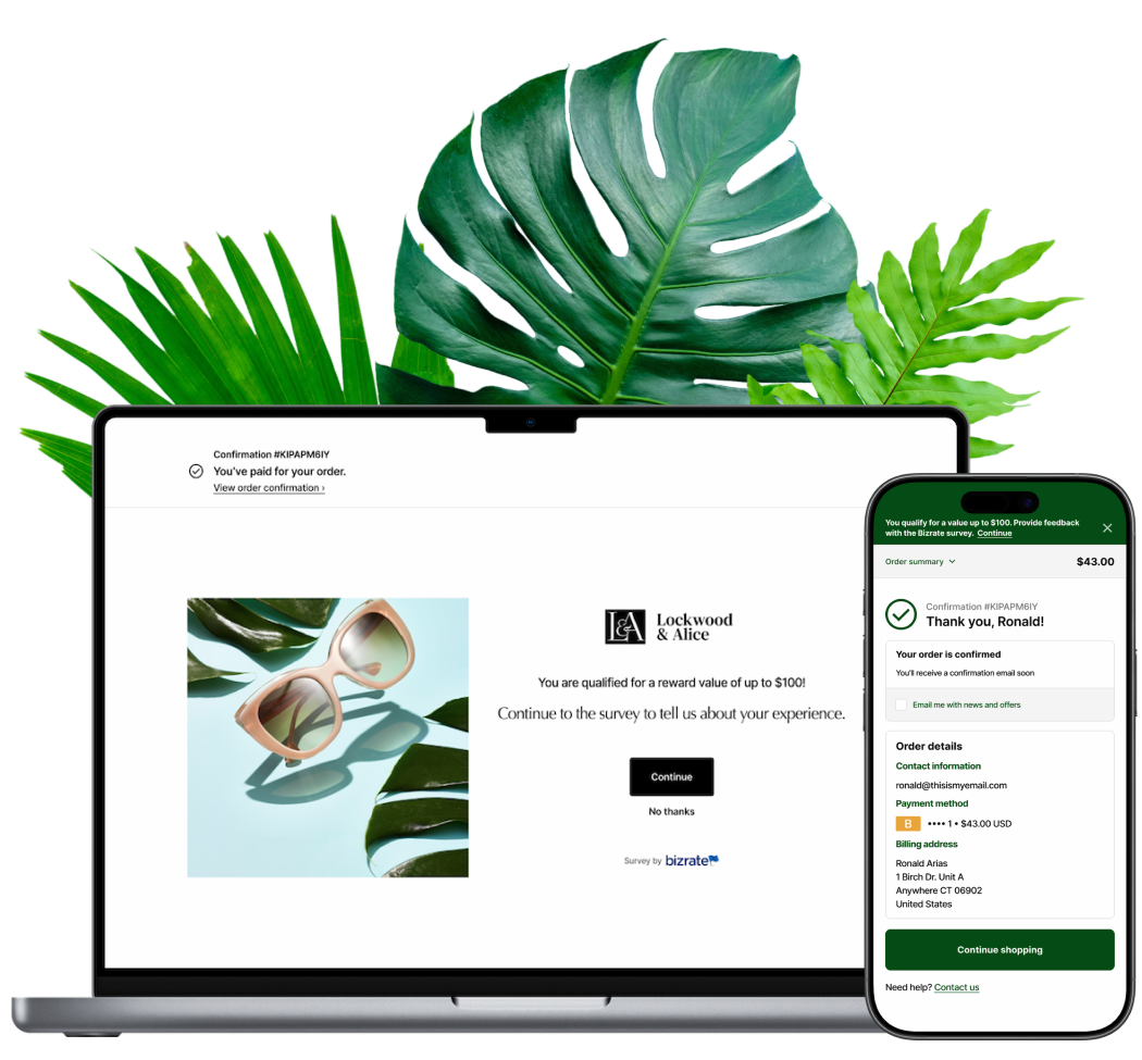 Tropical Shopify (1)